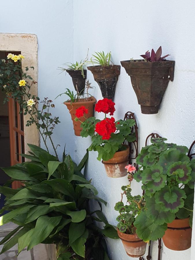 فيغيورا دا فوز Rua Das Rosas 22/B&B المظهر الخارجي الصورة